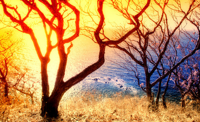 Similar image 518684