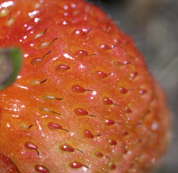 Similar image 518693