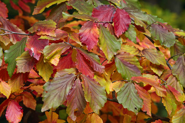 Similar image 518737