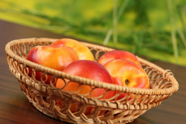 Similar image 518744