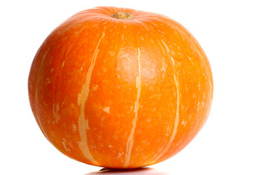 Similar image 518747