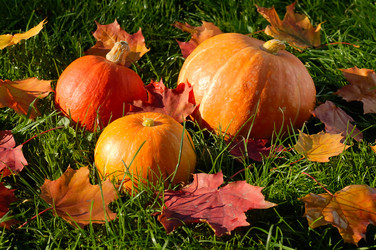 Similar image 518749