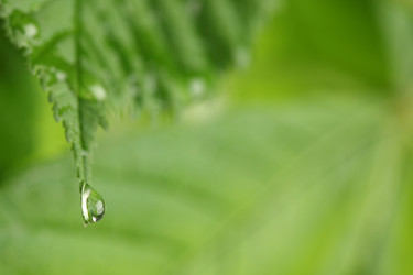 Similar image 518790