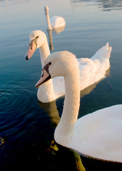 Similar image 518798