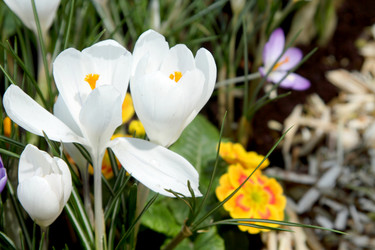 Similar image 518809