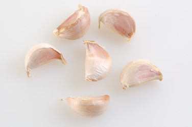 Similar image 518812