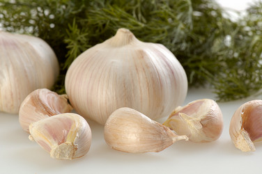 Similar image 518813