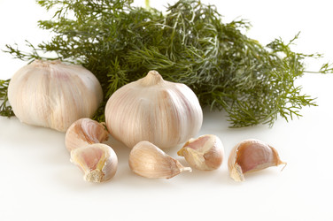 Similar image 518848