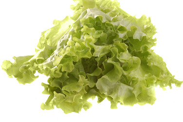 Similar image 518852