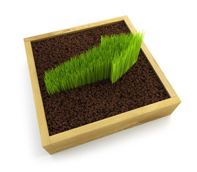 Similar image 518894