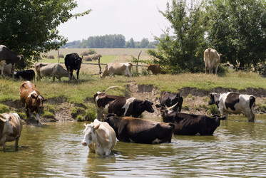 Similar image 518971