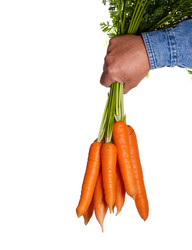 Similar image 518974