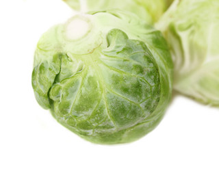 Similar image 519000