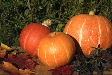 Similar image 519013