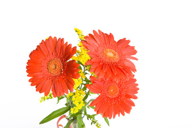 Similar image 519106