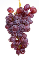 Similar image 519131