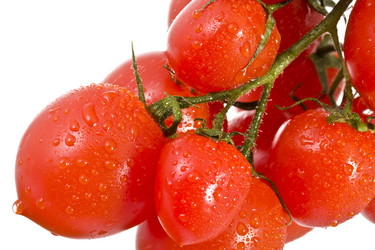 Similar image 519167