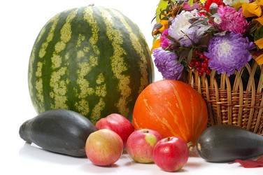 Similar image 519187