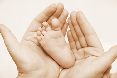 Similar image 519221