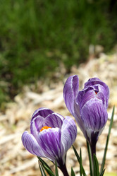 Similar image 519228