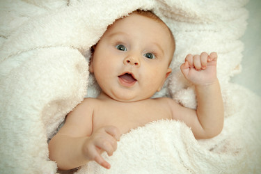 Similar image 519234