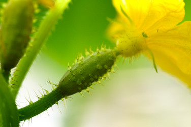 Similar image 519273