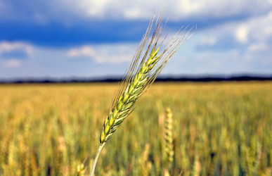 Similar image 519293