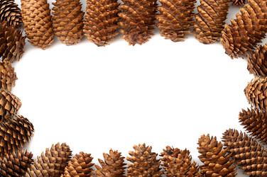 Similar image 519322