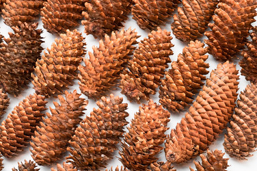 Similar image 519323