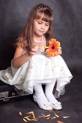 Similar image 519335