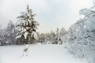 Similar image 519340