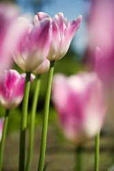 Similar image 519342