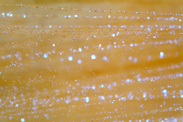 Similar image 519353