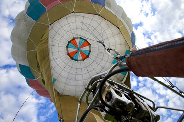 Similar image 519370