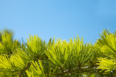 Similar image 519387