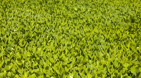 Similar image 519391