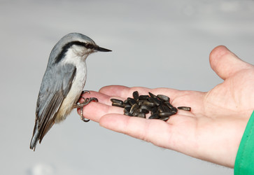 Similar image 519483