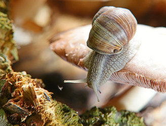 Similar image 519508