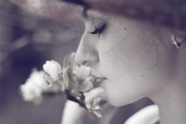 Similar image 519546