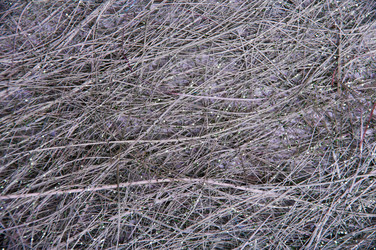 Similar image 519733