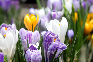 Similar image 519755