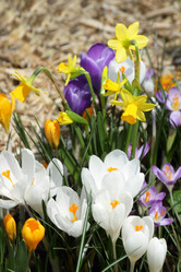 Similar image 519886