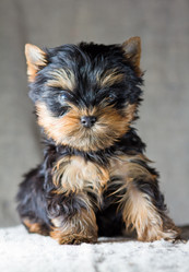 Similar image 519953