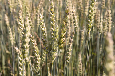 Similar image 519963