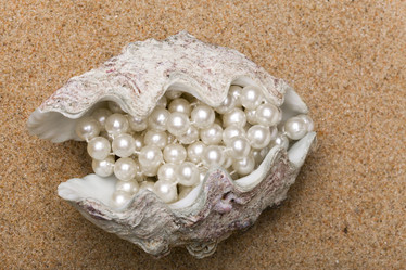 Similar image 519969