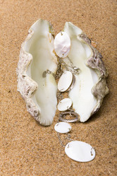 Similar image 519980