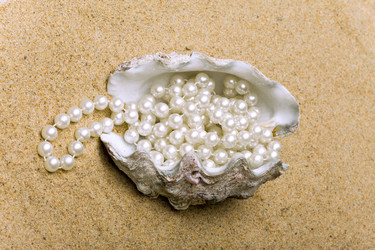 Similar image 519984