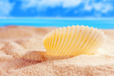 Similar image 520009