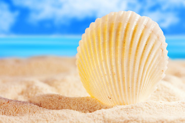 Similar image 520010