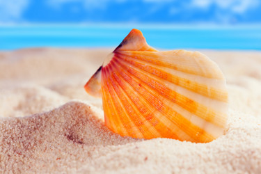 Similar image 520015